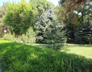 Санаторий "Родник" Анапа