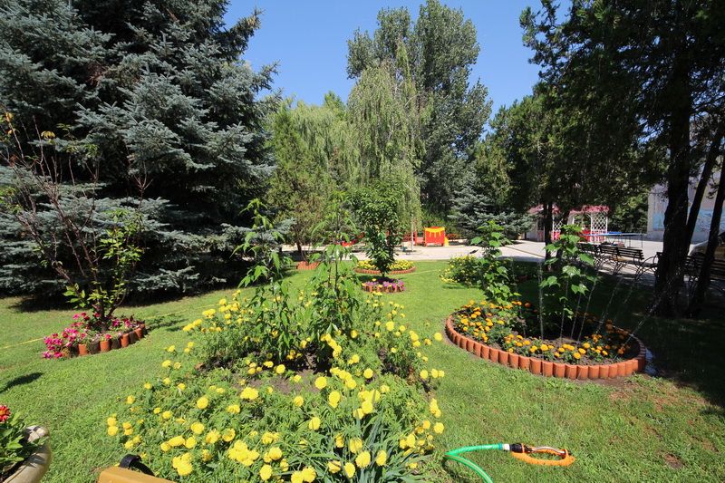 Санаторий "Родник" Анапа