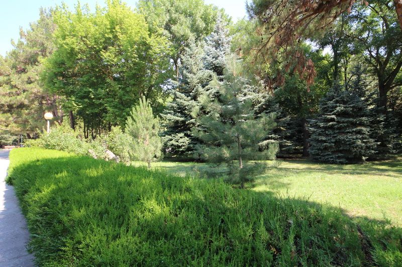 Санаторий "Родник" Анапа